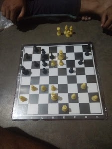 POWER GRID, सलौनाचक