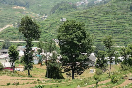 Tamlaag