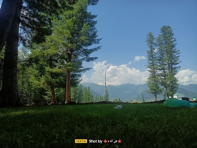Wayne kupwara