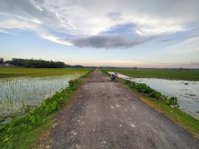 Baro Kodali