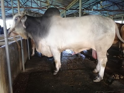 Pure Harvest BD পিওর হারভেস্ট বিডি