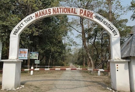 Manas National Park