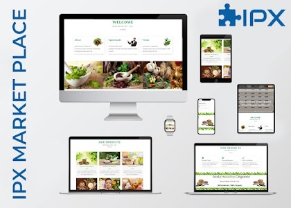 Software Company, Website Designing & Development