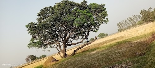 Penda Nankar