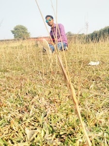 Raipur