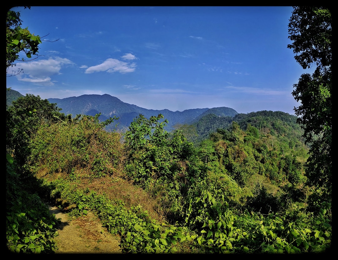 Buxa Tiger Reserve