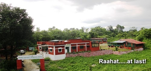 Raahat