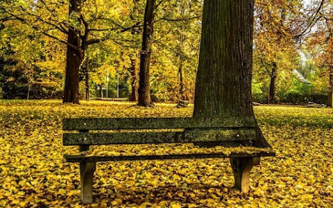 Sanju Kumar Discuss Place