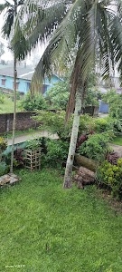 Phukan Dhaba
