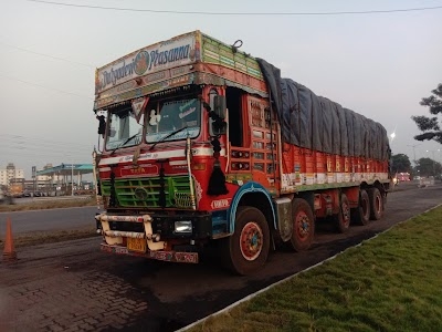 Goa minerals