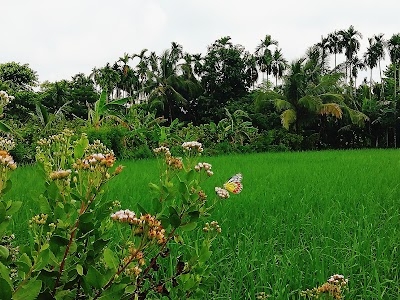Jugdia