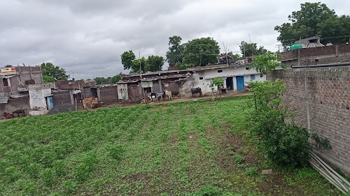 Bhikanyakhedi