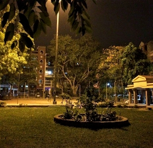 Dr. Juhi Taneja Park