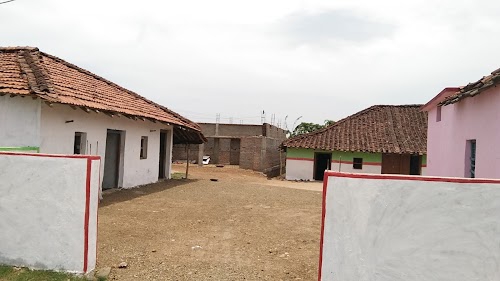 Palari