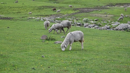 Khilanmarg