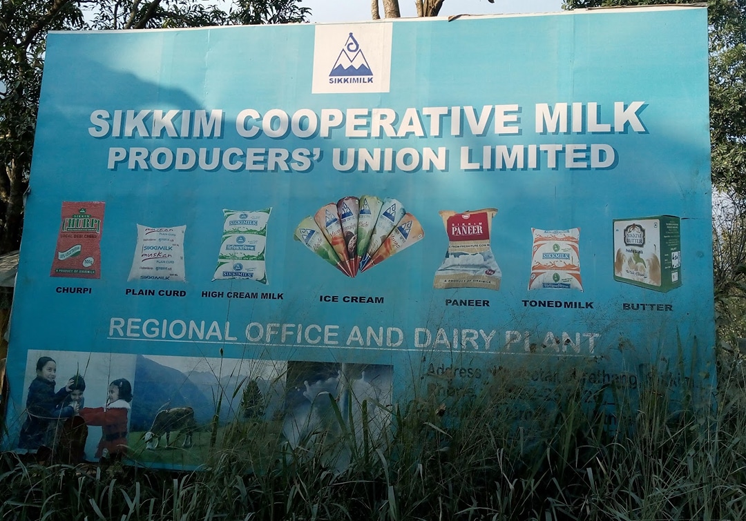 Sikkim Milk