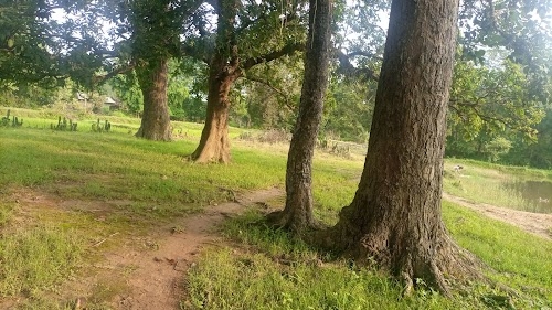 Dumkadi
