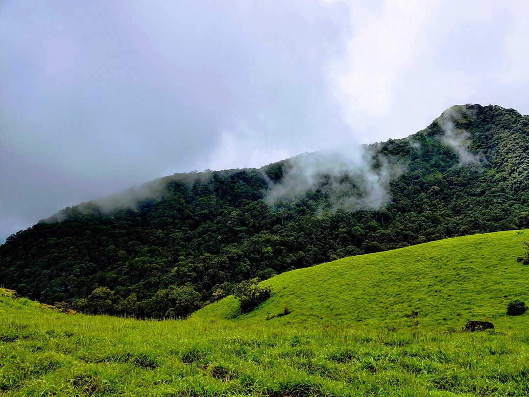 Kodachadri