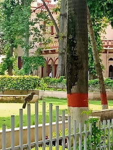 Board of Revenue, Uttar Pradesh