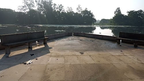 दशमिहवा तालाब