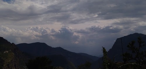 Rikhari