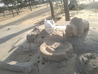सालाजी शंकर नाथ मंदिर झाक