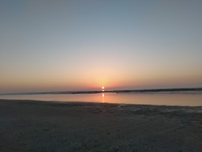 Seronda