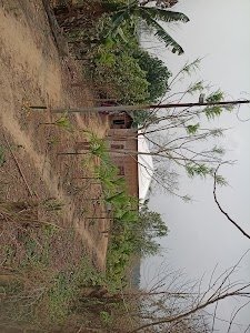 Riphol mpha ni nhow