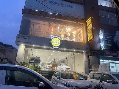 Chadha Motor Sales (CMS)
