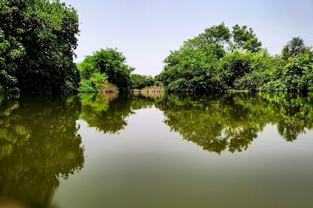 Kotij