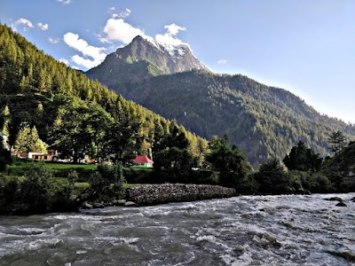 Pangi