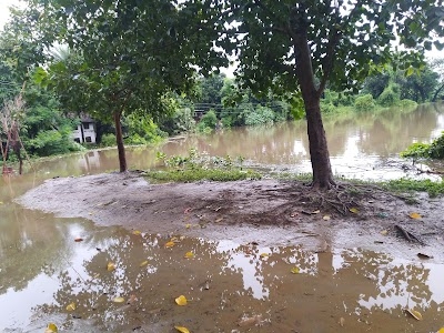 Play Ground
