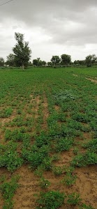 Binadesar Bidawatan