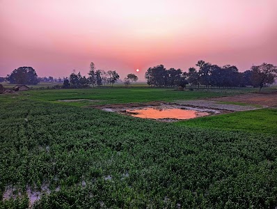 Baliya