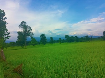 Jayapur
