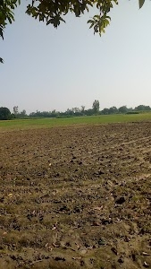 Pyare Lal