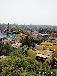 Genexx Exotica