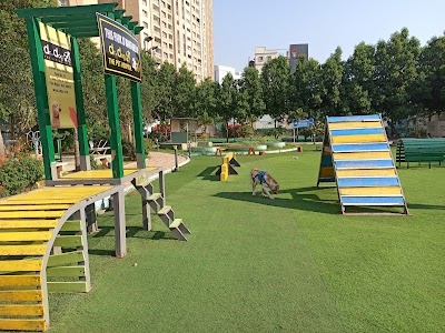 Dog Park