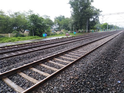 Bohani