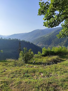 Doda