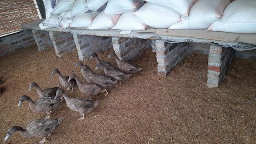 Nepalgunj Turkey Firm