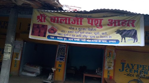 Aam(Mango) Mandi(Market)