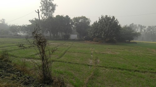 Sursanda