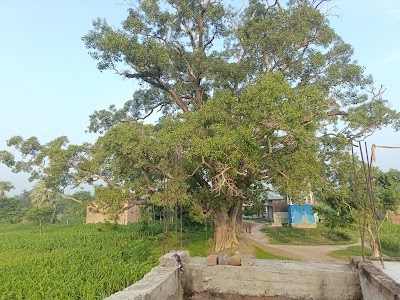bhagwati sthan darhi