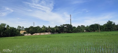 Lalat