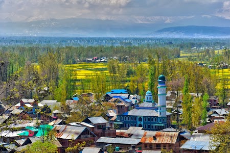Wasoora