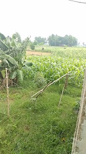 Jalpura