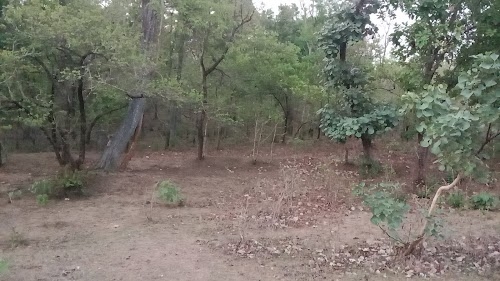Malewada
