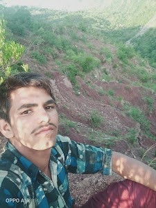 Sulan