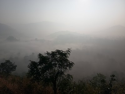 Rauli